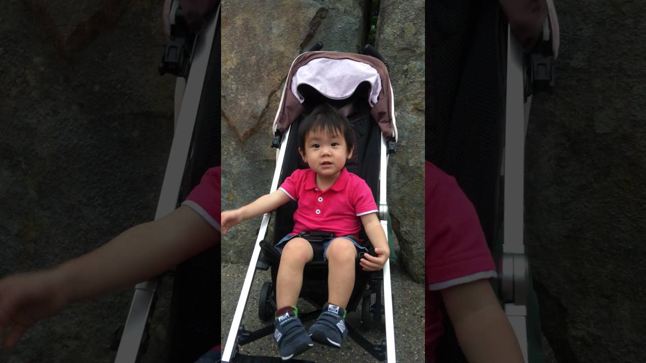 Download 家族 Usj スヌーピーに乗る 4k