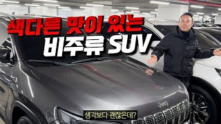 #53 생각보다 쓸만한 비주류SUV