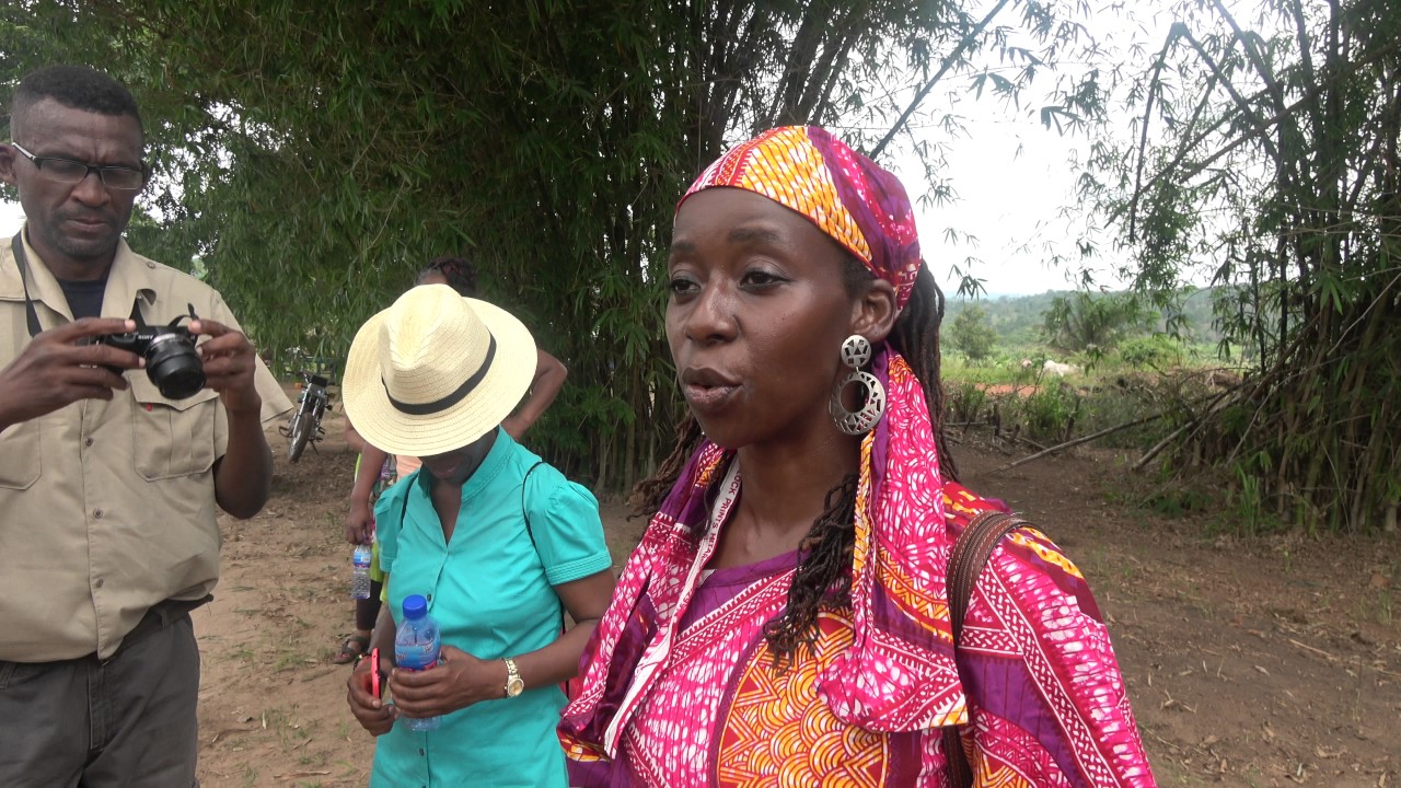 Importance and Clarity of Repatriation Ghana Tour May 2017 YouTube