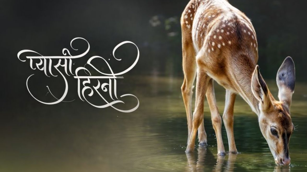 प्यासी हिरनी जैसा | New Christian Song 2026# Yeshu