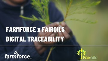 Farmforce x Fairoils: Digital Traceability