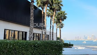 VLOG из Дубая: улетели отдохнуть и закупиться брендами  // часть 1