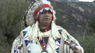 Idle No More Dream Catcher