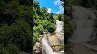 Nature’s staircase. 🌿 Would you jump in? #NatureLovers ​#waterfall #srilanka #fyp #viral #onemillion