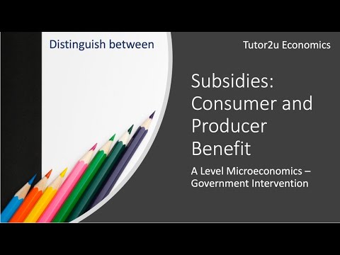 Video: Wat zijn de voordelen van subsidies?