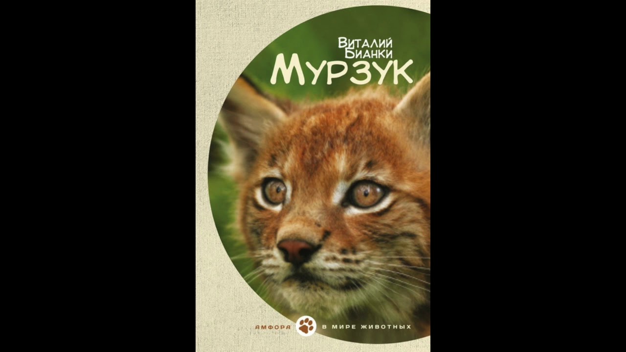 Бианки мурзик. Мурзук Чарушин. Книга Бианки Мурзук. Рысь Мурзук.