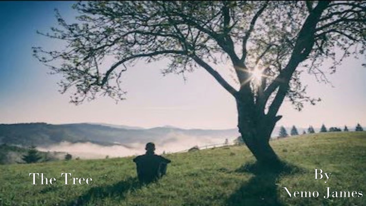 Watch The Tree on YouTube Watch The Tree on YouTube