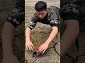 He Dug Into the Mud… Then Found a GIANT Eel 😱