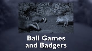 Ball games and Badgers