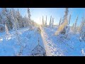 Alaska Husky Adventures 360 Video Alaska - The Ride Front Row -  Part 4