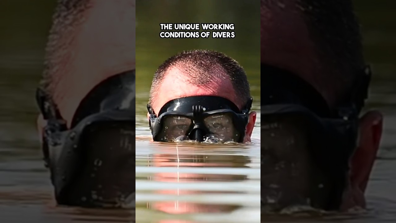 The Unique Working Schedules of Divers!