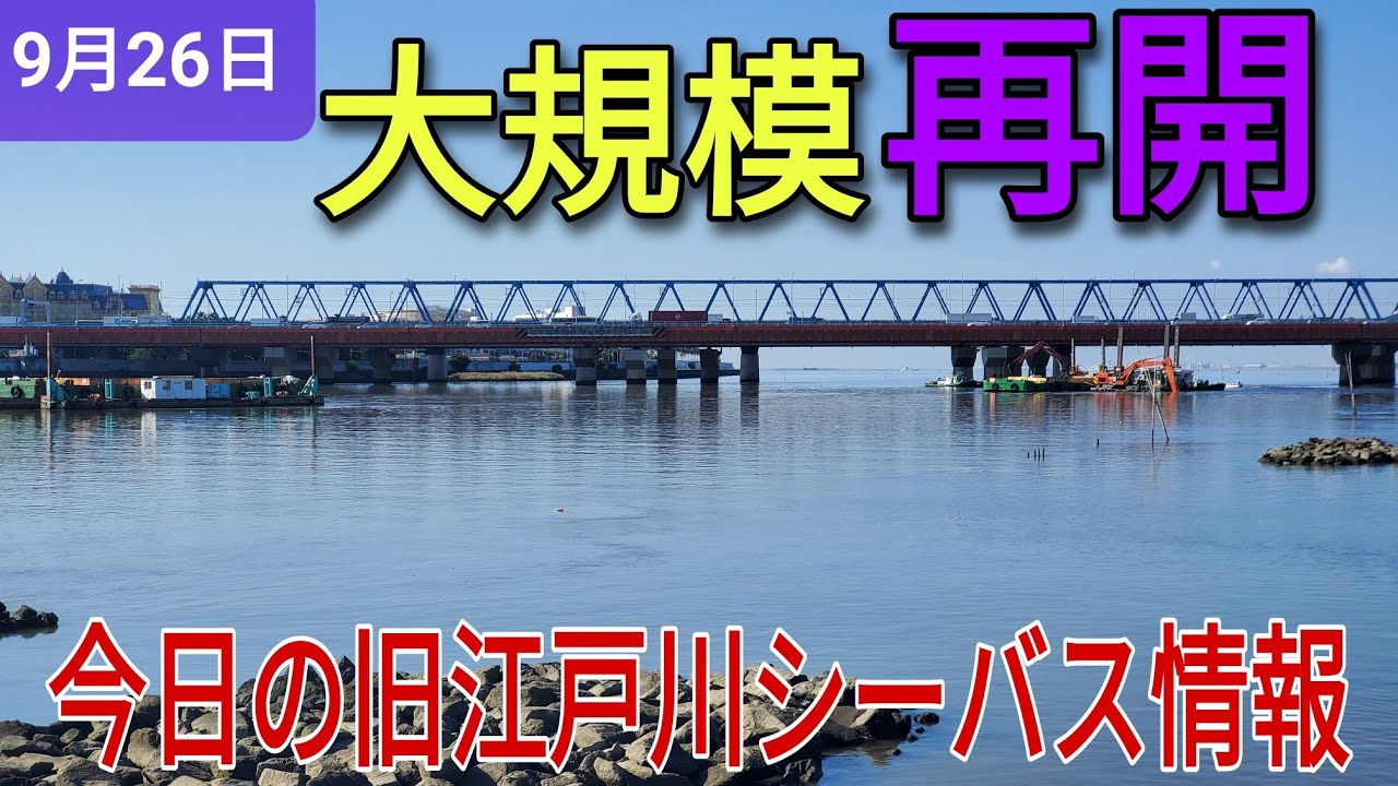 工事再開 今日の旧江戸川シーバス情報 Youtube