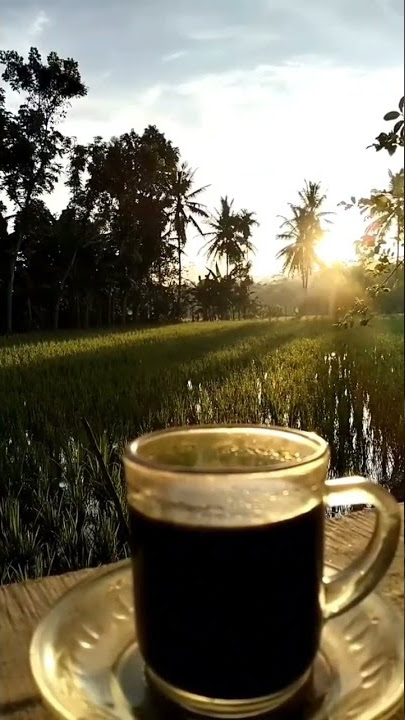 Kopi Hitam Di Pagi Hari || Morning Black Coffe  #shorts #coffee