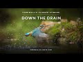 Cornwall’s Climate Stories: Down the Drain PREMIERE+ Q&amp;A