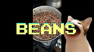 She Made Beans WTF (EDM House Remix)