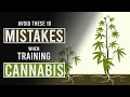 10 mistakes to avoid when training cannabis plants