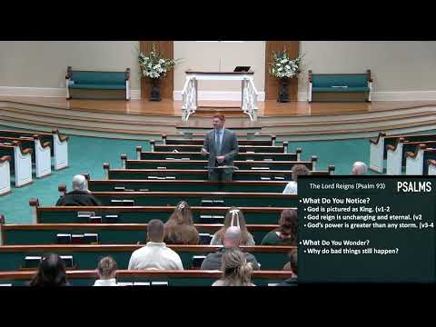 Video preview