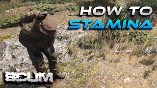 SCUM- What is Stamina?