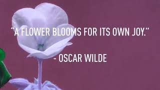 Wilde Vertigga Ss2020