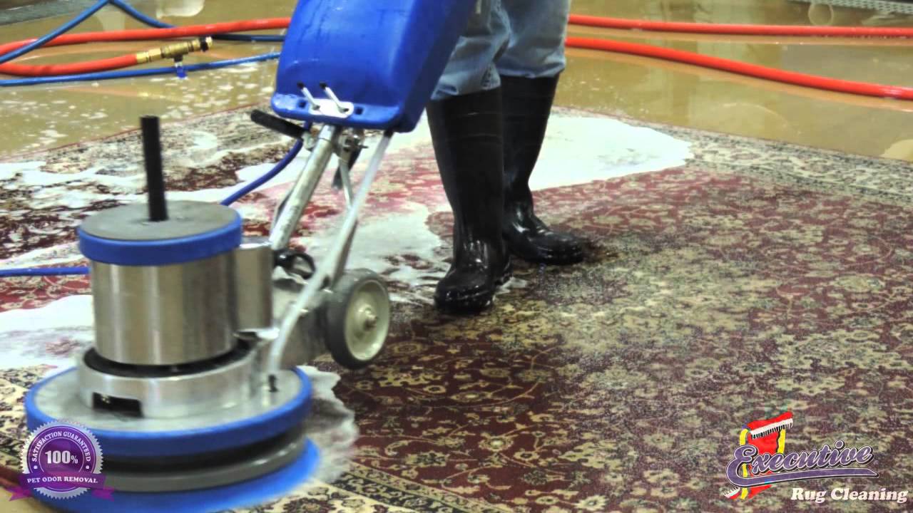 Rug Cleaners Bickham Rudkin Park