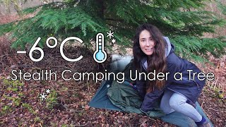 Stealth Camping Under a Tree 🥶 Below Freezing -6°C