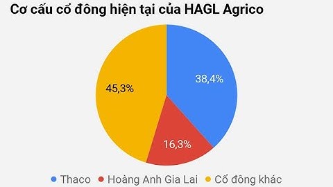 Các ngân hàng vẫn "đau đầu" với HAGL Agrico