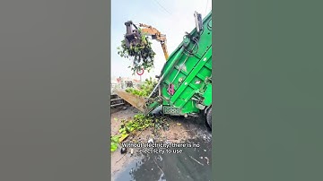 Lý do thật sự khiến người ta cứ vứt rác bừa bãi là gì? #saigonxanh #cleaning #shorts #windnet