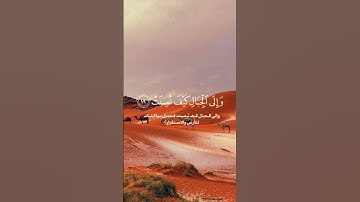 أفلا ينظرون إلى الإبل كيف خلقت ..#عبدالباسط_عبدالصمد #سورة_الغاشية