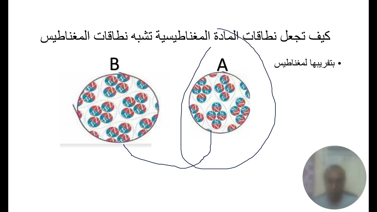 المراجعات النهائية لمادة العلوم للصف الثامن - الفصل الدراسي الاول