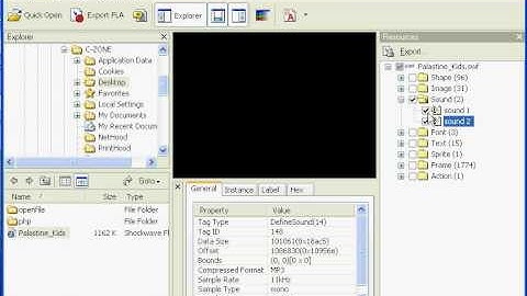 SWF Decompiler.avi