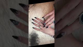 Q Spa Nails