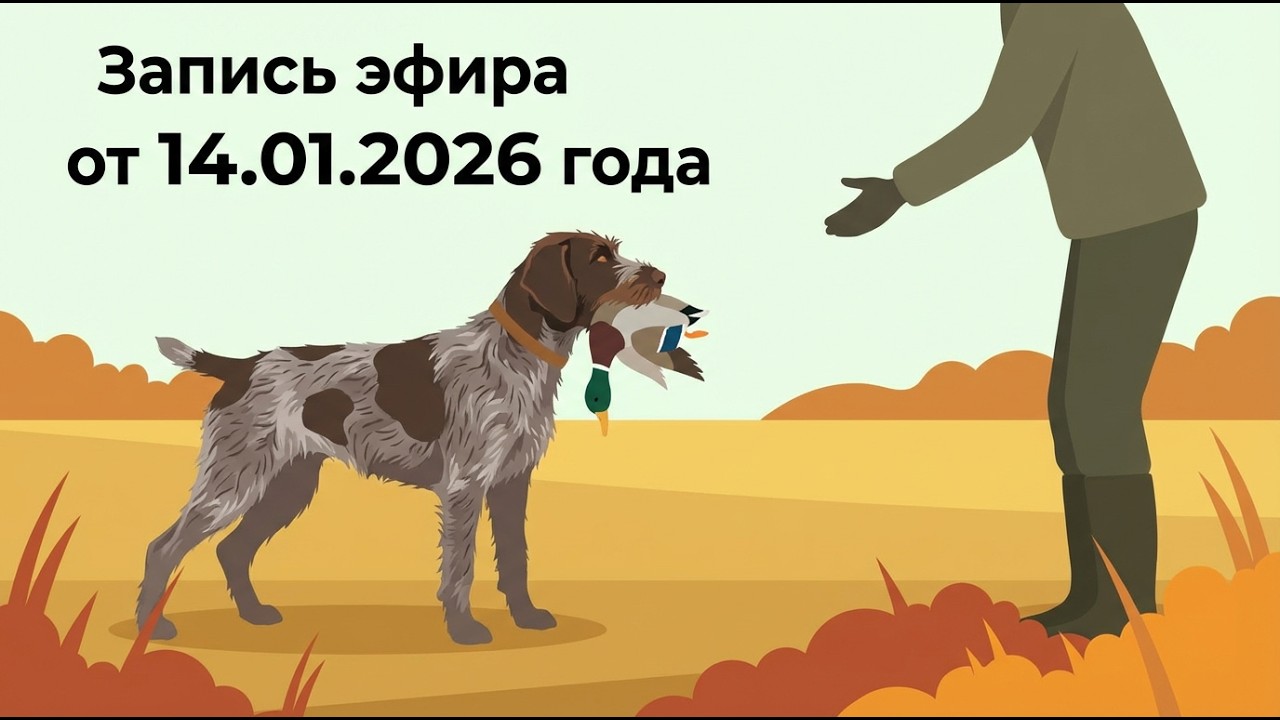 Почему «волшебная таблетка» не лечит проблему с апортом — разбираем живой кейс