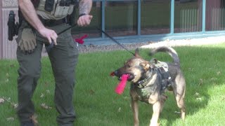 Mesa County Sheriff’s Office welcomes new drug detection K-9