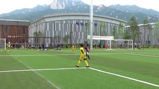 20180527 fc서울(브레이브 U-10) vs jnfc 후반전