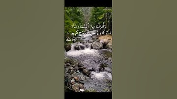 هذا خلق الله (من سورة لقمان) | فضيلة الشيخ حسام الدين أحمد عبد العظيم
