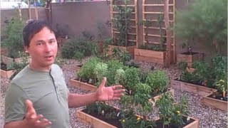 How to Grow a Vegetable Garden if you RENT your Home