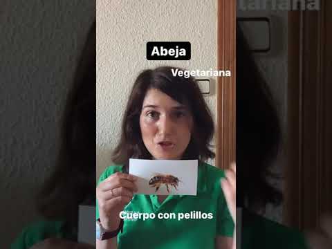 ¿Qué hacer si