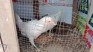 Maalesef Herkese Güvenilmiyor 🤔