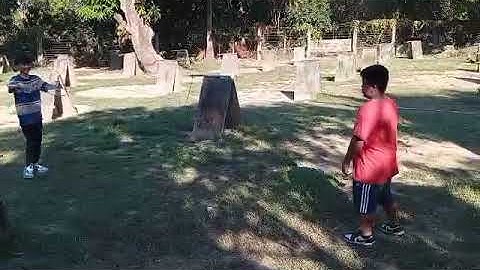 Performance Task in TLE 6