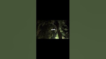 ❤️محمد ايوب - رحمه الله (سورة إبراهيم)