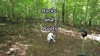 My off grid dream: Part 4 Rocks and Roots by Allwonkyvids 54 views 6 months ago 4 minutes, 51 seconds