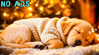 15 Stunden beruhigende Musik für Hunde 🐶💖 Wohltuende Schlaftherapie 🎵 Heilung Ohne Werbung