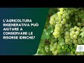 L'agricoltura rigenerativa può aiutare la conservazione delle risorse idriche?