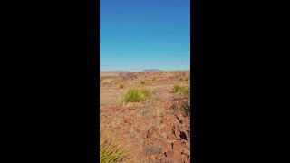 Famous Anchor Land & Cattle Ranch Profile