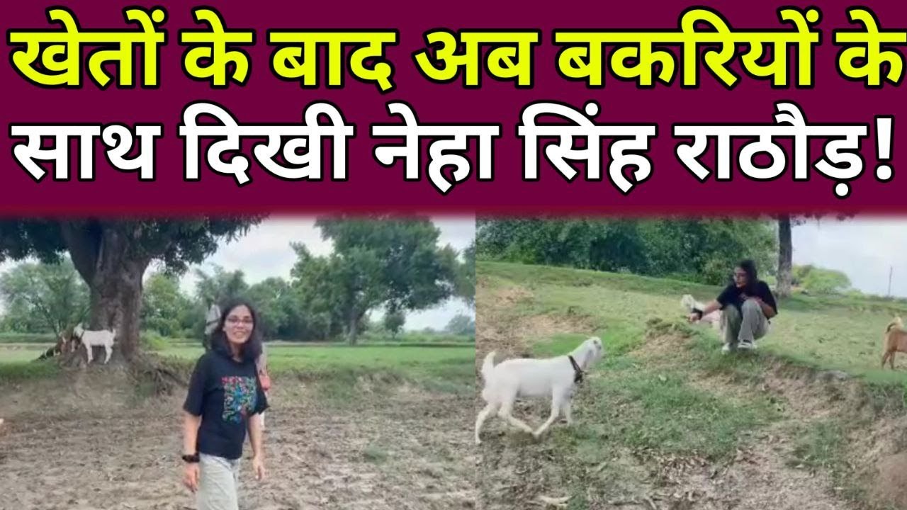 Neha Singh rathore : खेतों के बाद अब बकरियों के साथ दिखी, नेहा सिंह ...