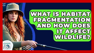 What Is Habitat Fragmentation And How Does It Affect Wildlife? - Chasing Big Fish
