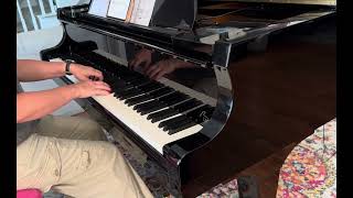 Kittens At Play By Diane Hidy Primary 1