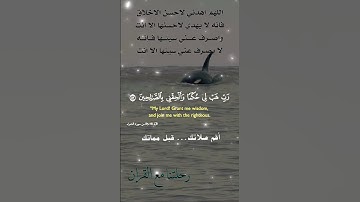 تلاوة خاشعة عطرة مباركة جميلة عذبة للشيخ فارس عباد ماتيسر من سورة الشعراء
