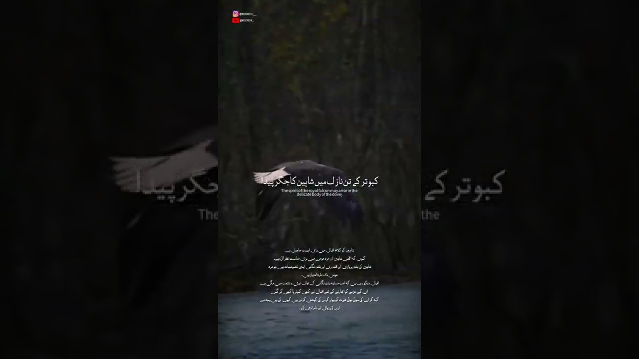 Hazaro Saal Nargis Apni ByNoori pe roti hy Tulu-e-Islam by Iqbal #subscribe #allamaiqbal #neutrotix