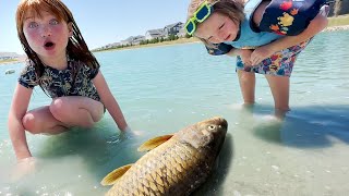 MYSTERY FiSH found by Adley and Niko!! a Shark Monster Truck on Pirate Island and fun Skatepark Sesh